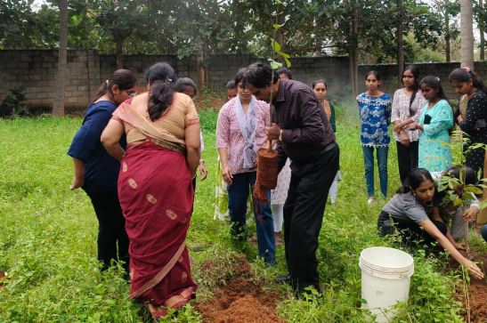 Plantation drive in collaboration with rotaract Tarabanahalli